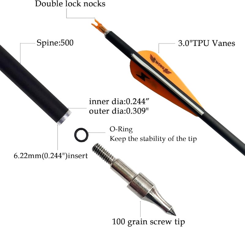 e5e10 31inch Carbon Arrow Archery Targeting Practice Hunting Arrows for Compound & Recurve Bow with Removable Tips(Pack of 12) - Image 3